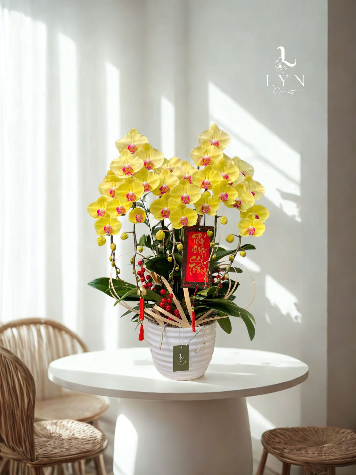 Chậu Hoa Lan Vàng